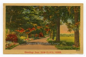 Image description is not available for PHO-264-804